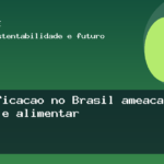 Desertificação no Brasil ameaça segurança hídrica e alimentar